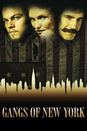 Gangs of New York (2002) Hindi Dual Audio 720p BluRay [1.4GB] Movie Poster