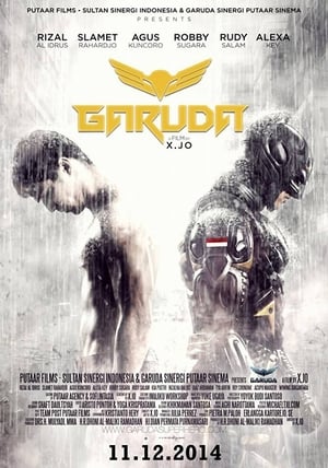 Garuda Superhero (2015) Hindi Dubbed 720p HDRip [750MB] Movie Poster