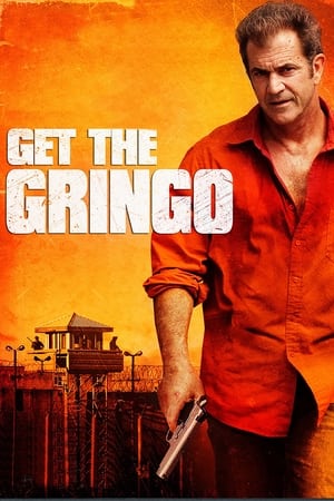 Get the Gringo (2012) Hindi Dual Audio 720p BluRay [850MB] Movie Poster