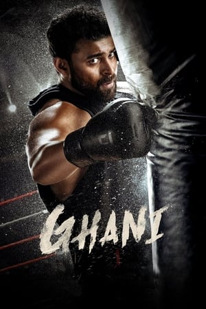 Ghani 2022 Hindi (HQ DUB) HDRip 720p – 480p Movie Poster