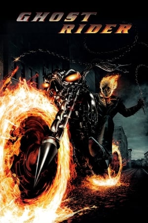 Ghost Rider (2007) Hindi Dual Audio 480p BluRay 400MB Movie Poster