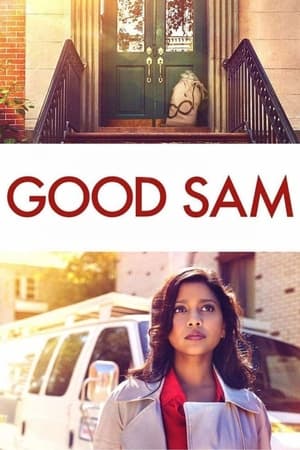 Good Sam 2019 Hindi Dual Audio 480p Web-DL 300MB Movie Poster