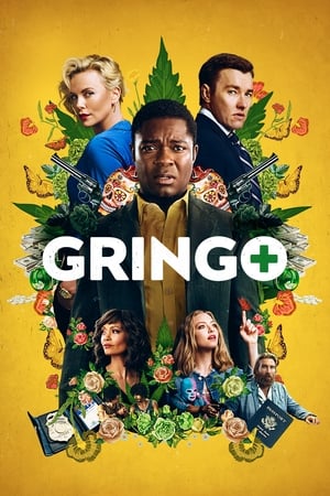 Gringo (2018) Hindi Dual Audio 480p BluRay 400MB Movie Poster