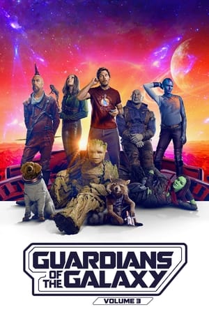 Guardians of the Galaxy Vol. 3 2023 Hindi (ORG) Dual Audio WEB-DL 720p – 480p Movie Poster