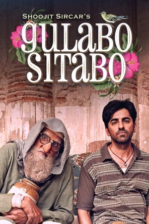 Gulabo Sitabo 2020 Hindi Movie 480p HDRip - [360MB] Movie Poster