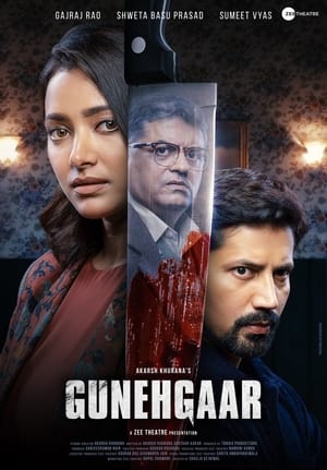 Gunehgaar (2023) Hindi HDRip | 720p | 480p Movie Poster