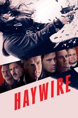 Haywire (2011) Hindi Dual Audio 480p BluRay 300MB Movie Poster