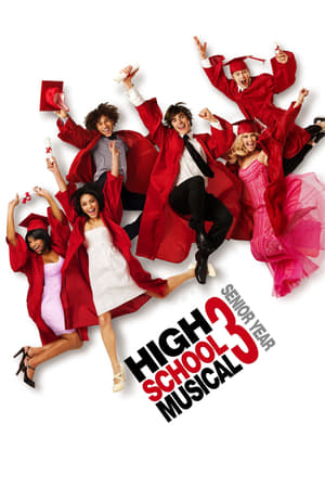 High School Musical 3 (2008) Hindi Dual Audio 720p BluRay [950MB] Movie Poster