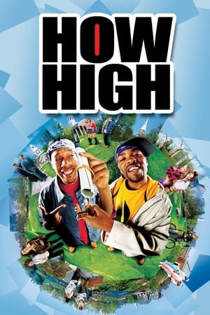 How High (2001) Hindi Dual Audio 720p WebRip [800MB] Movie Poster