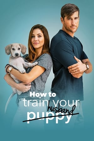 How to Train Your Husband 2018 Hindi Dual Audio 480p BluRay 300MB Movie Poster