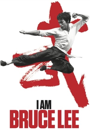 I Am Bruce Lee 2012 Hindi Dual Audio Bluray 720p [850MB] Download Movie Poster