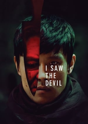 I Saw the Devil 2010 Hindi Dual Audio HDRip 720p – 480p Movie Poster