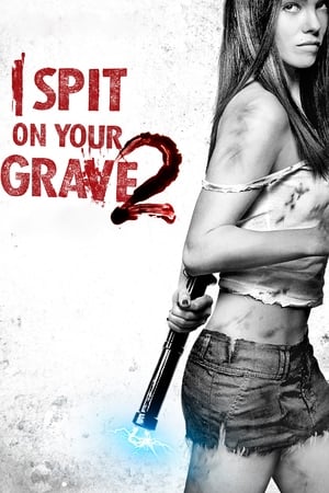 I Spit on Your Grave 2 (2013) Hindi Dual Audio HDRip 720p – 480p Movie Poster