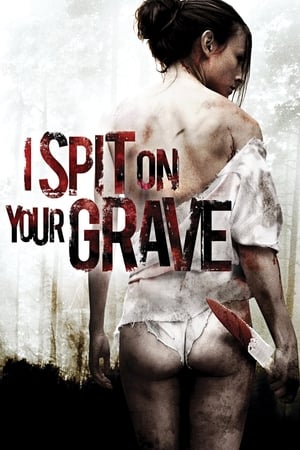 I Spit on Your Grave 2010 Hindi Dual Audio 720p BluRay [1.1GB] Movie Poster