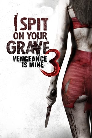 I Spit on Your Grave: Vengeance Is Mine (2015) Hindi Dual Audio HDRip 720p – 480p Movie Poster