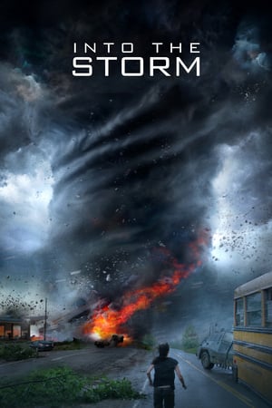 Into the Storm (2014) Hindi Dual Audio 480p BluRay 300MB Movie Poster