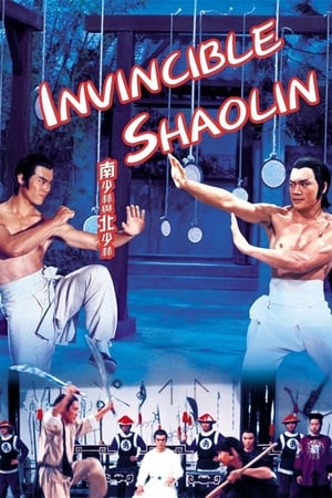 Invincible Shaolin 1978 Hindi Dual Audio 720p BluRay [1.3GB] Movie Poster