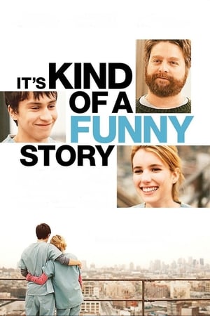 Its Kind of a Funny Story 2010 Hindi Dual Audio 480p BluRay 330MB Movie Poster