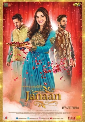 Janaan (2016) Movie Pakistani TVRip 720p [700MB] Download Movie Poster