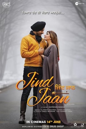 Jind Jaan (2019) Punjabi Movie 480p Pre-DVDRip - [350MB] Movie Poster