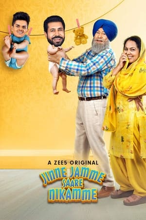 Jinne Jamme Saare Nikamme (2021) Punjabi Movie 480p HDRip – [400MB] Movie Poster