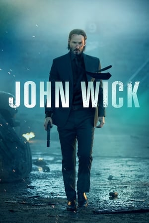 John Wick (2014) Hindi Dual Audio 720p BluRay [900MB] ESubs Movie Poster