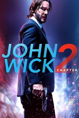 john Wick Chapter 2 (2017) Dual Audio Hindi BluRay Hevc [190MB] Movie Poster