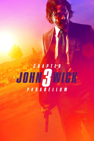 John Wick Chapter 3 Parabellum (2019) Hindi Dubbed 480p BluRay 370MB Movie Poster