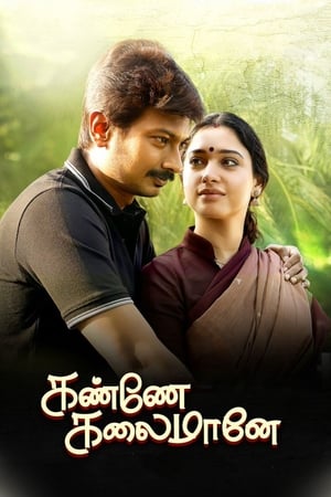 Kanne Kalaimaane 2019 (Hindi - Tamil) Dual Audio 480p UnCut HDRip 450MB Movie Poster