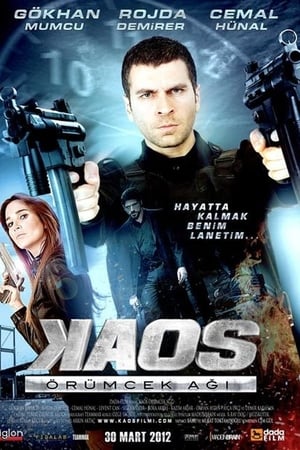 Kaos: Örümcek Agi (2012) Hindi Dual Audio HDRip 720p – 480p Movie Poster