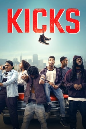 Kicks (2016) Hindi Dual Audio 480p BluRay 300MB Movie Poster