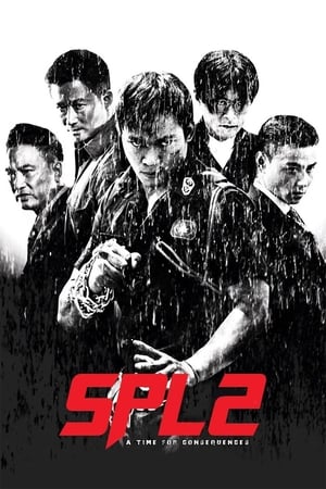 Kill Zone 2 (2015) Hindi Dual Audio 480p BluRay 400MB Movie Poster