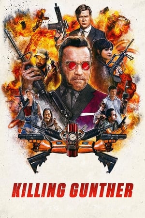 Killing Gunther 2017 Hindi Dual Audio 720p BluRay [800MB] Movie Poster