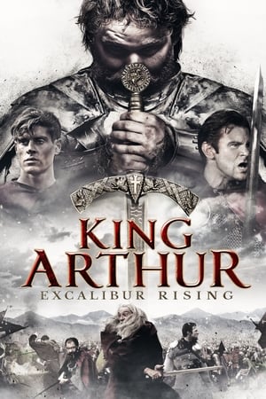 King Arthur: Excalibur Rising 2017 Hindi Dual Audio HDRip 720p – 480p Movie Poster