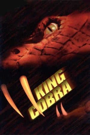 King Cobra 1999 Hindi Dual Audio 480p Web-DL 300MB Movie Poster