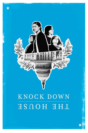 Knock Down the House (2019) Hindi Dual Audio 480p Web-DL 300MB Movie Poster