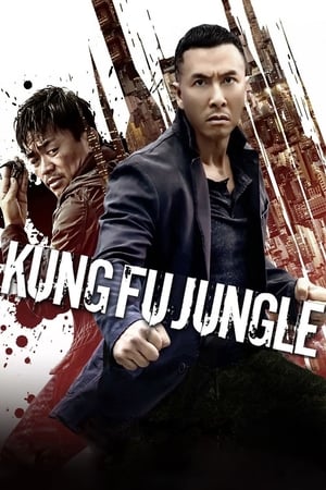 Kung Fu Jungle (2014) Hindi Dual Audio 480p BluRay 300MB Movie Poster