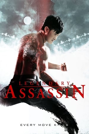 Legendary Assassin (2008) Hindi Dual Audio 720p BluRay [1GB] Movie Poster