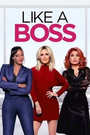 Like a Boss (2020) Hindi Dual Audio 480p Web-DL 300MB