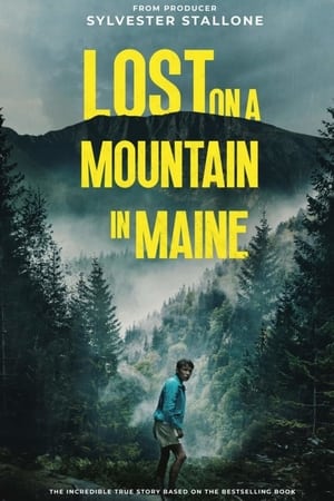 Lost on a Mountain in Maine 2024 Hindi Dubbed CAMRip 1080p Movie Poster