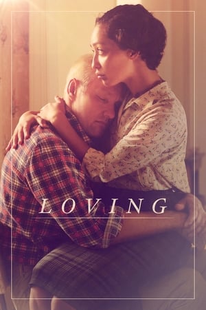 Loving (2016) Hindi Dual Audio 720p BluRay [1.2GB] Movie Poster