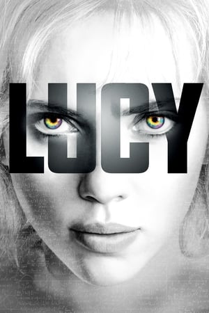 Lucy (2014) Hindi Dual Audio 480p BluRay 300MB Movie Poster