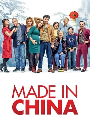 Made in China (2019) Hindi Movie 480p HDRip - [340MB] Movie Poster