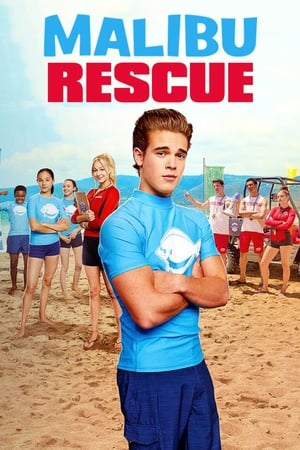 Malibu Rescue (2019) Hindi Dual Audio 480p HDRip 650MB Movie Poster