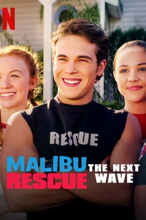 Malibu Rescue: The Next Wave (2020) Hindi Dual Audio 480p Web-DL 230MB Movie Poster