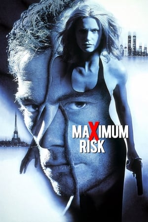 Maximum Risk (1996) Hindi Dual Audio 480p BluRay 330MB Movie Poster