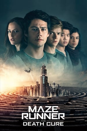 Maze Runner: The Death Cure (2018) Hindi Dual Audio 480p BluRay 450MB Esubs Movie Poster