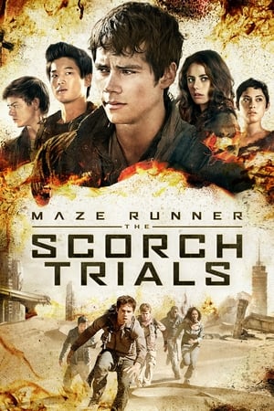 Maze Runner The Scorch Trials (2015) Hindi Dual Audio 720p BluRay [1.3GB] Movie Poster