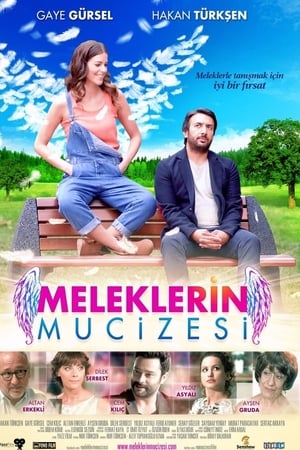 Meleklerin mucizesi (2014) Hindi Dual Audio 720p Web-DL [600MB] Movie Poster