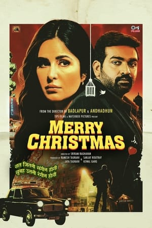 Merry Christmas 2024 Hindi HDTS 720p – 480p Movie Poster